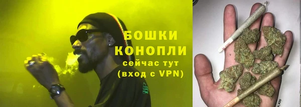 дмт Козловка