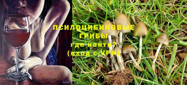 трава Кодинск