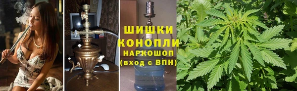 трава Кодинск