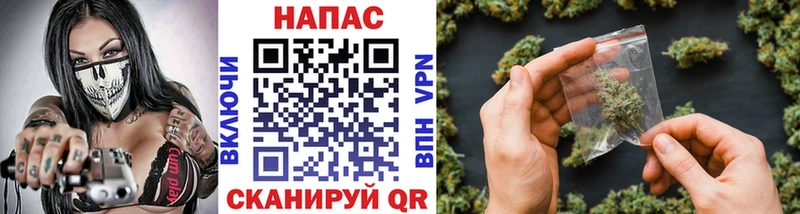 Марихуана семена  Сясьстрой 